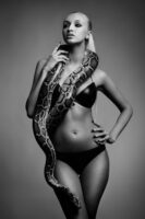 Red Star Events - Snake Girl